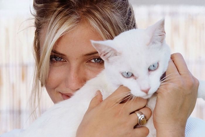 Famous-people-and-their-cats-59894ec184e74__700.jpg